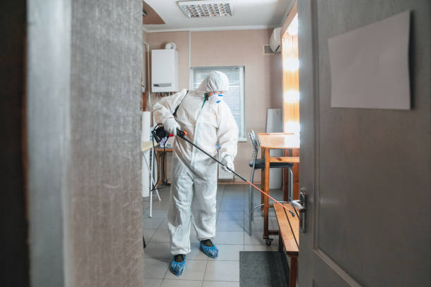 Best Commercial Mold Inspection  in Enosburg Falls, VT