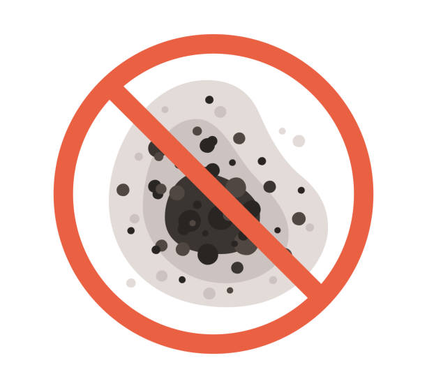 Best Mold Remediation for Healthcare Facilities  in Enosburg Falls, VT
